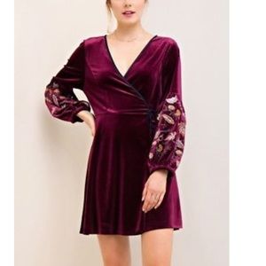 Entro velvet embroidered dress
